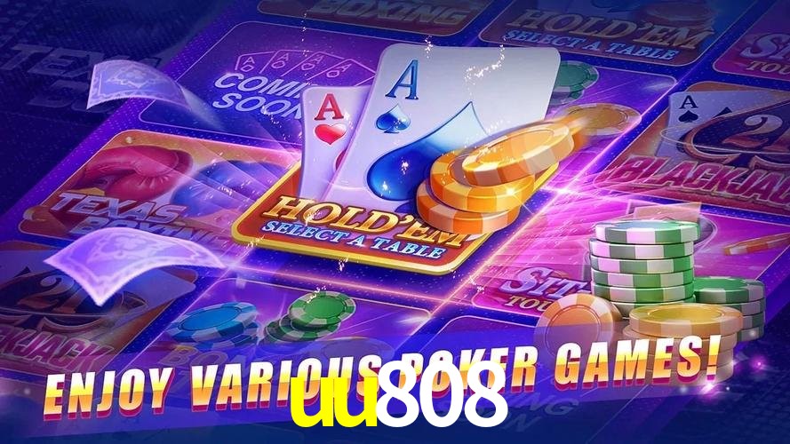 Programa VIP uu808